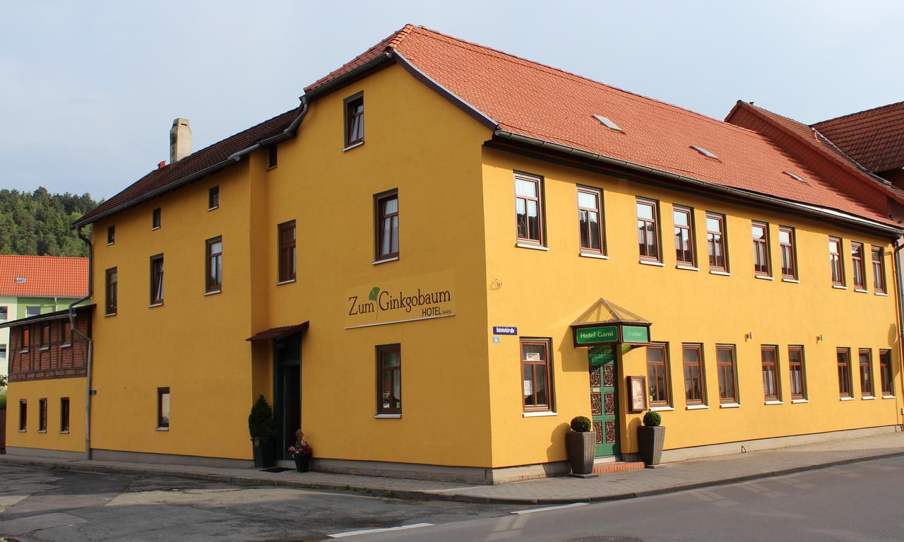 Zum Ginkgobaum Hotel Stadtilm ภายนอก รูปภาพ
